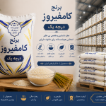 كامفيروز درجه یک